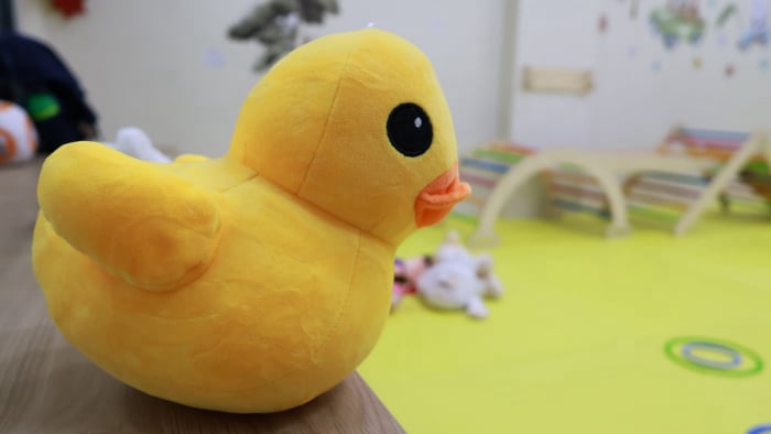 LilyKids Kocaeli Çocuk Gelişim Merkezi